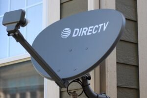 hummingbird, satellite dish, bird, nature, nest, hummingbird nest, directv